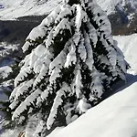 Rifugio Vieux Crest Hotel 3*