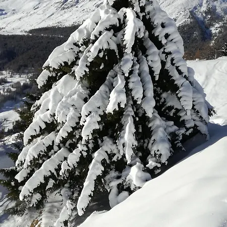 Rifugio Vieux Crest Hotel 3*