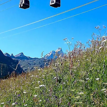 Rifugio Vieux Crest Hotel