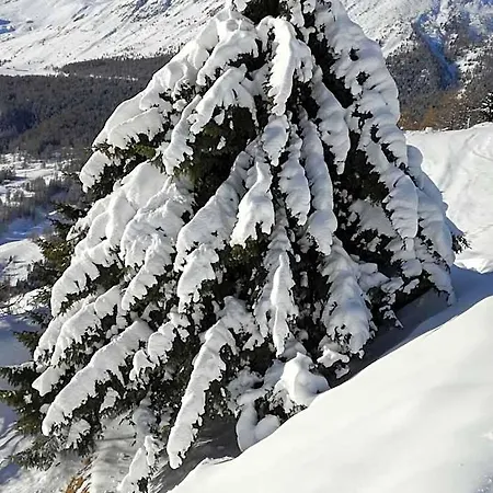 Rifugio Vieux Crest Hotel