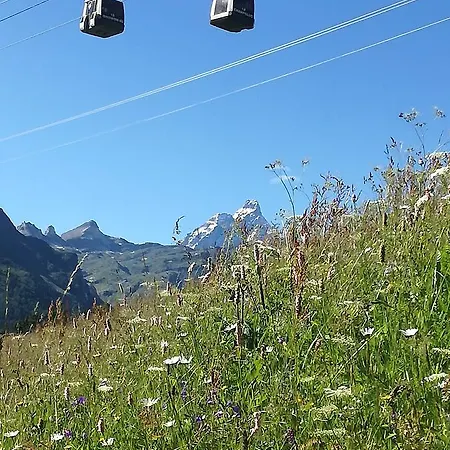 Rifugio Vieux Crest 3*