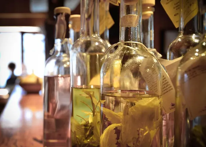 Rifugio Vieux Crest Szálloda